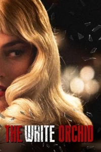 White Orchid