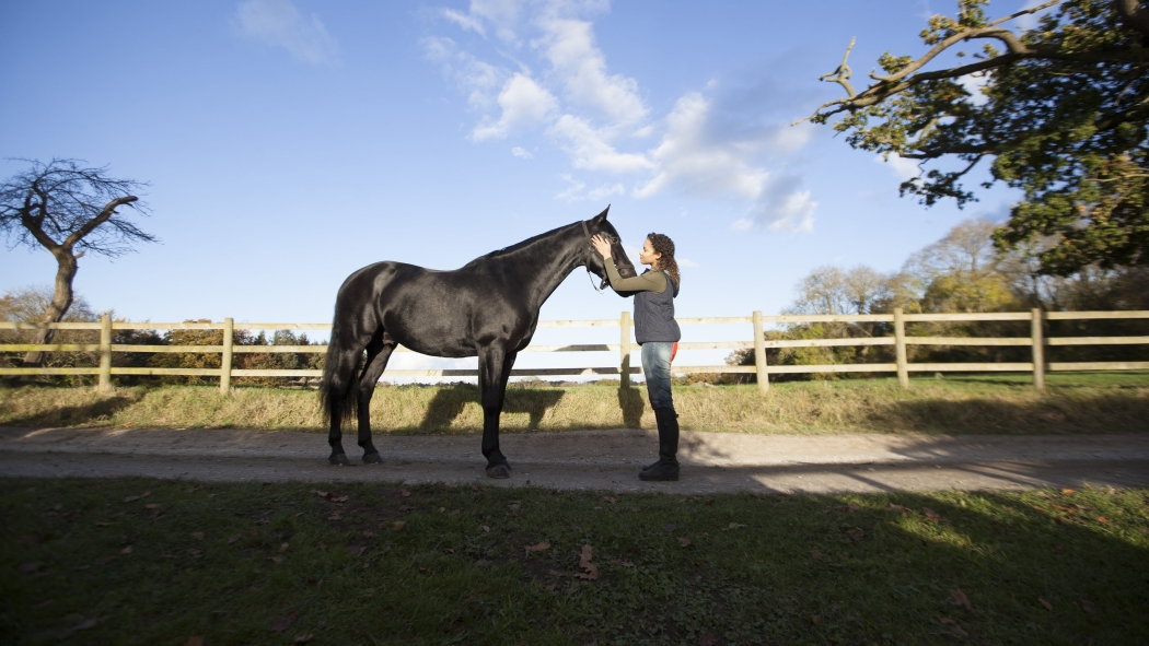 Kendini Özgür Bırak 2. Sezon 5. Bölüm izle