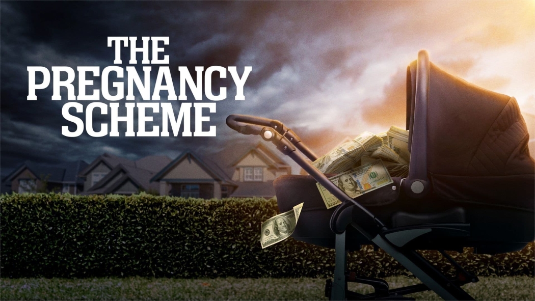 The Pregnancy Scheme izle